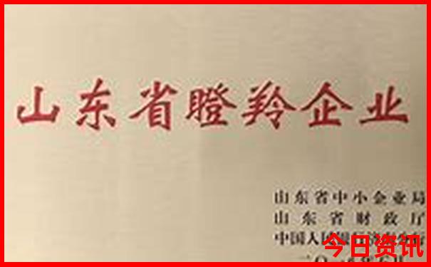 七八月凉快的旅游景点